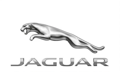 Jaguar Bulb Kit